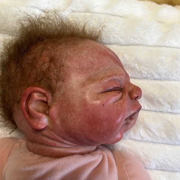 Beautiful reborn doll. Feels so realistic. Soft hair and articulated head/limbs. - Picture 12 of 16